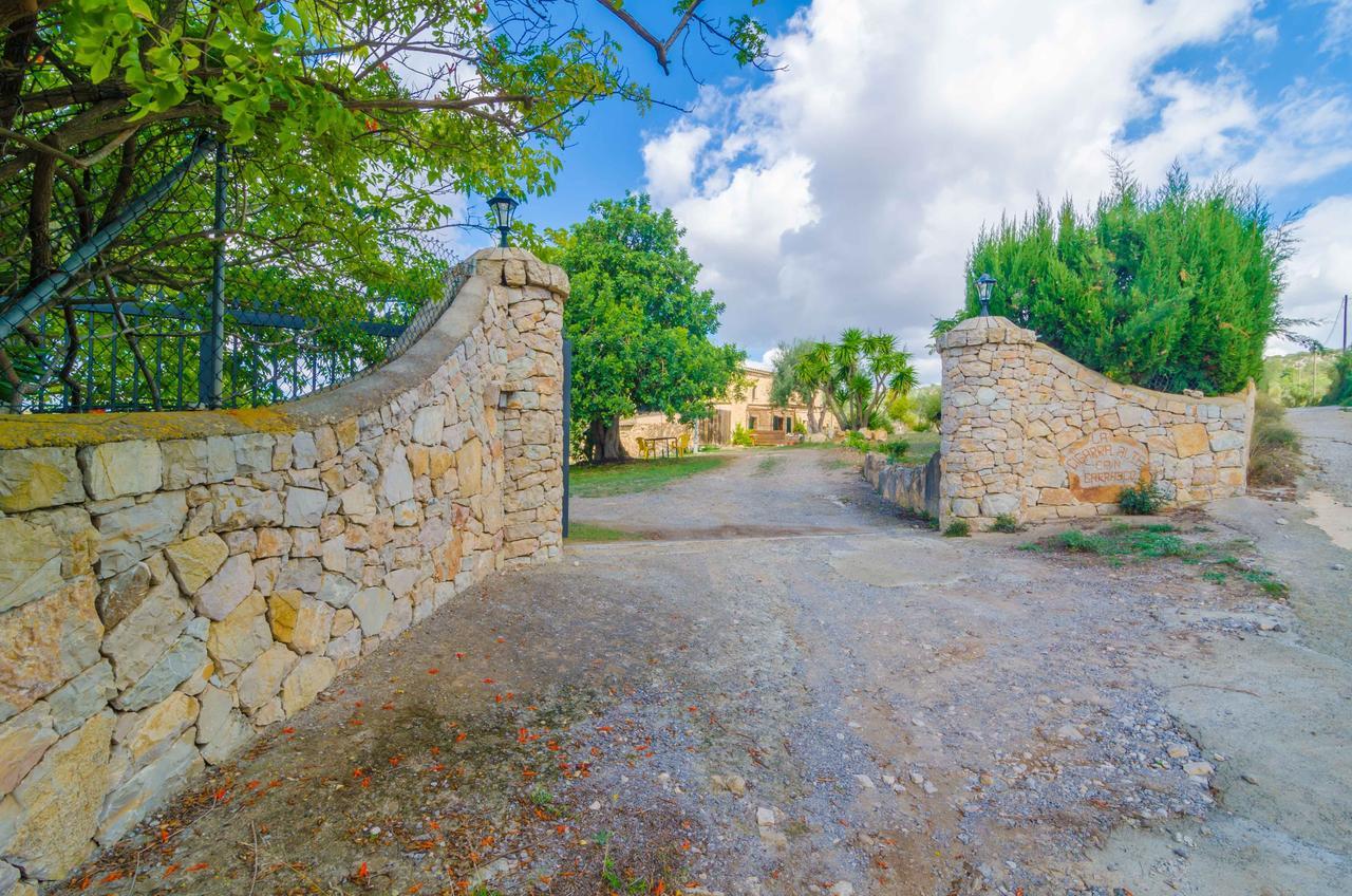 La Cigarra Carrasco Son Macia (Mallorca)